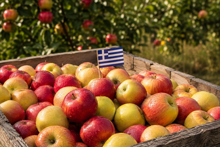 Premium Greek apples